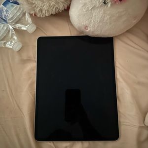 Ipad pro 12.9 inch (newest edition)